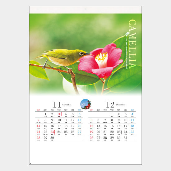 四季の花 AC-2 AC-2