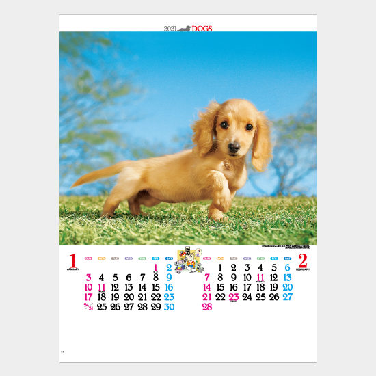 かわいい犬 IC-203 IC-203