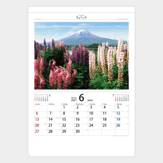 世界文化遺産 富士十二景 YG-27(NK-66,NP-13) YG-27