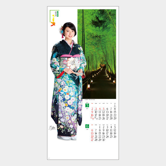 和装スターと灯火の美 NK-161 NK-161