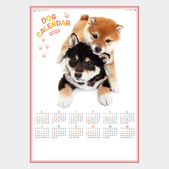 年表 ペット(犬) NK-348 NK-348