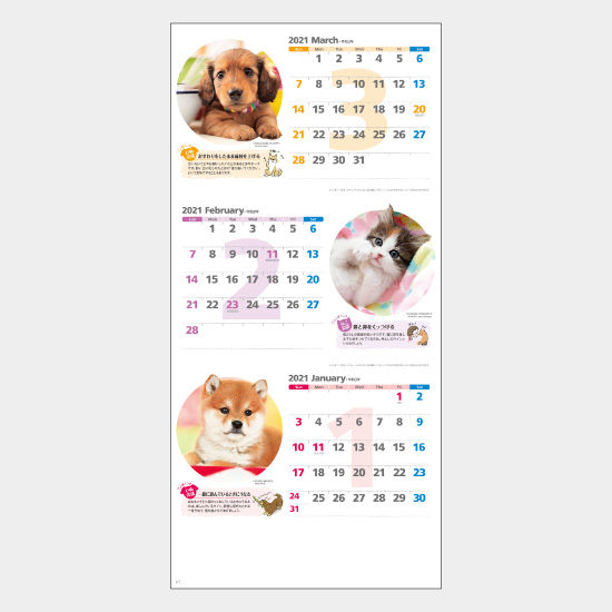 ハッピーチャットーいぬねこことばー(3か月文字) NK-914 NK-914