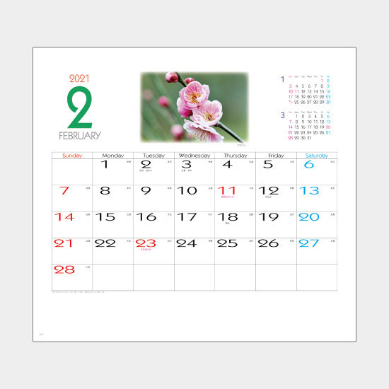 花もよう NP-10 NP-10