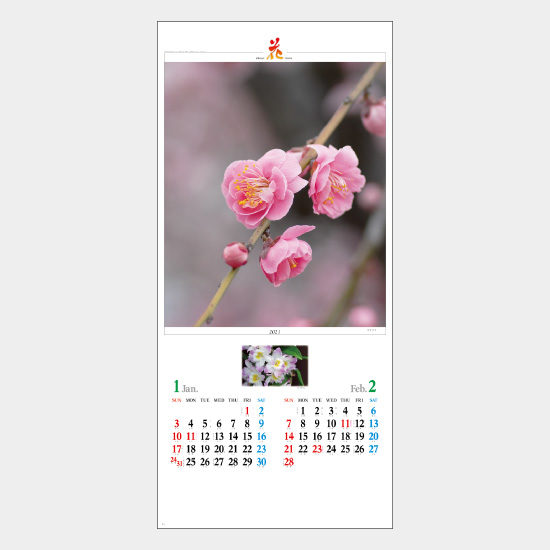 花 NP-33(NK-494) NP-33