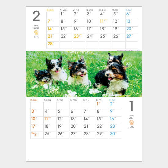 THE DOGS ミシン目入り SG-197 SG-197