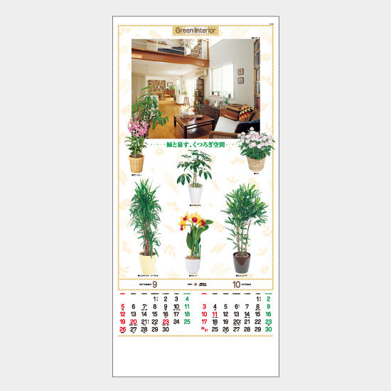 観葉植物 TD-782 TD-782