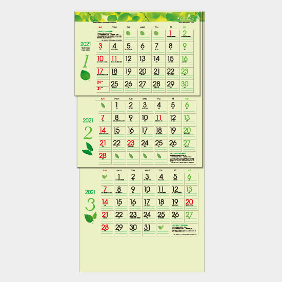 グリーン3ヶ月ecoS-上から順タイプ- TD-975 TD-975