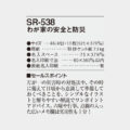 SR-538