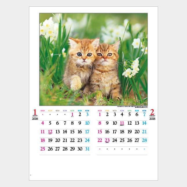 IC-201H　かわいい猫