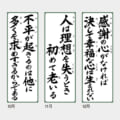 IC-300