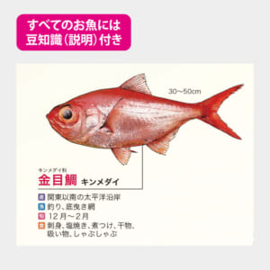 NB-4001 特選 お魚年表 | 名入れカレンダー2026年 印刷 激安・短