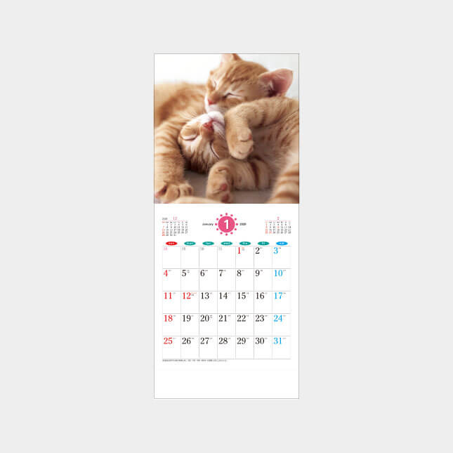 SA-030 THE CAT’s （ザ･キャッツ）（猫13枚）