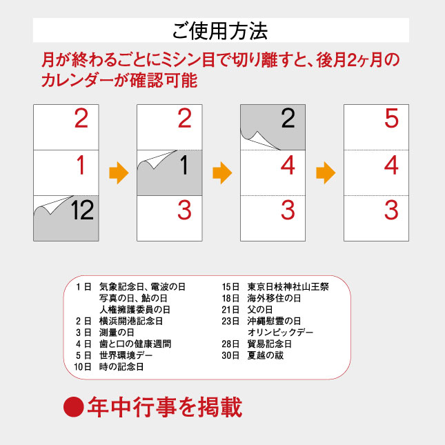 ステップアップ3ヶ月(年表付・スリーマンス)SG-319(YG-7 ステップアップ3ヶ月(年表付・スリーマンス)SG-319(YG-7