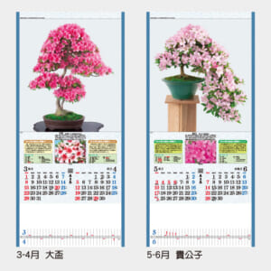 TD-784 皐月集 | 名入れカレンダー2026年 印刷 激安・短納期のカレン堂