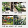 TD-806
