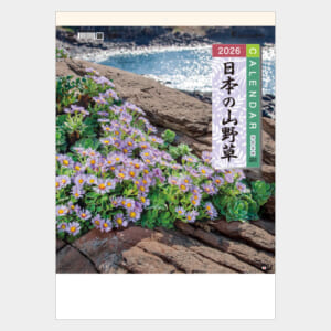 TD-818 日本の山野草 | 名入れカレンダー2026年 印刷 激安・短納期の