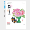 TD-851