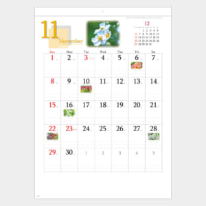 ＹＵＫＩ カレンダー　美品 盆栽｜壁掛けカレンダー（名入れ）｜カレンダー（名入れ）｜商品