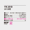 YK-819