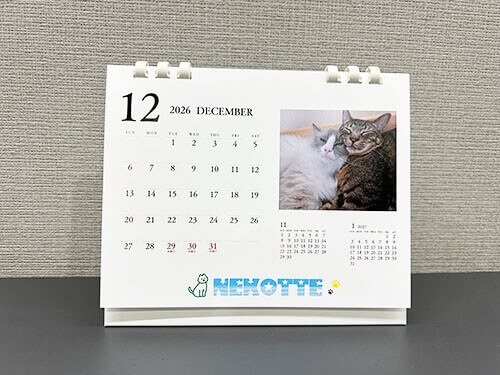 ねこのカレンダー