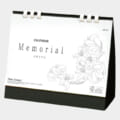 NZ-523