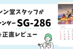 SG-286の正直レビュータイトル画像