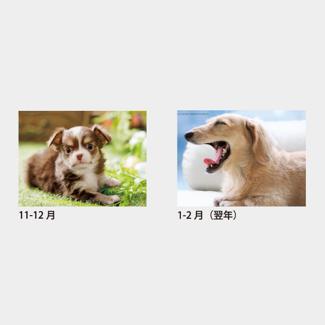 4月始まりSA-350の写真