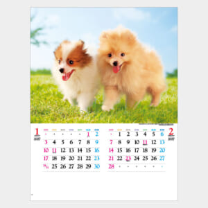 かわいい犬 IC-203H IC-203H