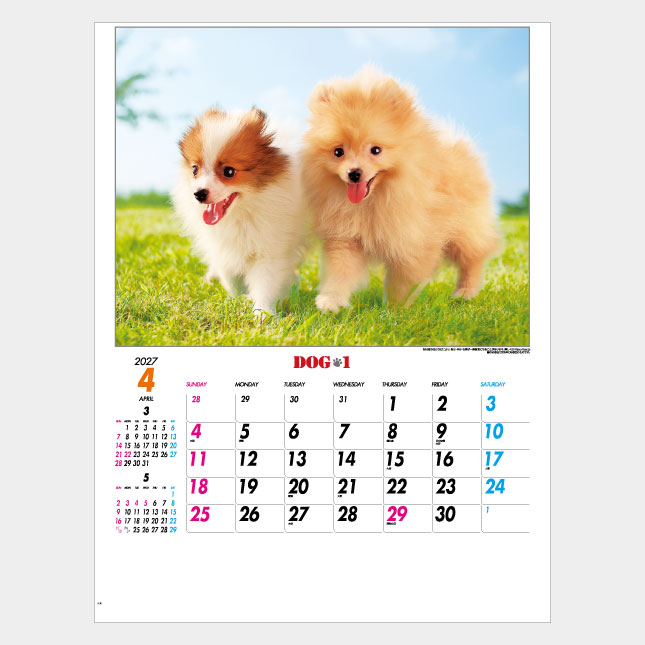 ドッグワン IC-260H IC-260H