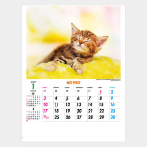 マイペット IC-261H(NK-109) IC-261H