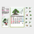 NA-155