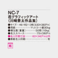 NC-7