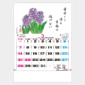 TD-851
