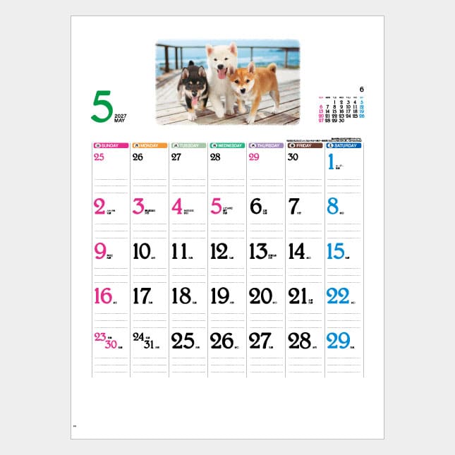 IC-262　Dear Family（ディアーファミリー）