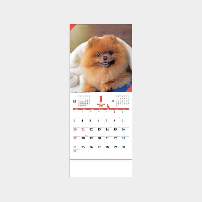 JT-3　ドッグマンスリー