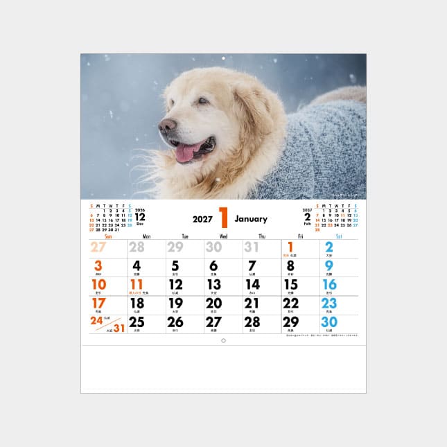 TC-3　メール便 ペットカレンダー